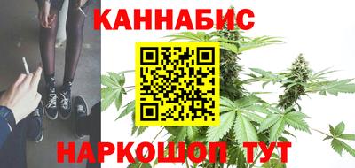 индика Краснознаменск