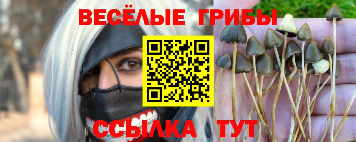 Галлюциногенные грибы ЛСД Кашира
