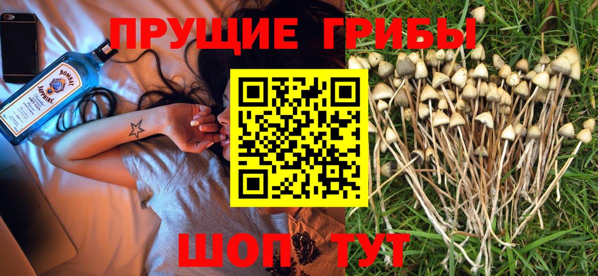 Галлюциногенные грибы Psilocybe  Галлюциногенные грибы Cubensis  Вход с VPN  Кашира 